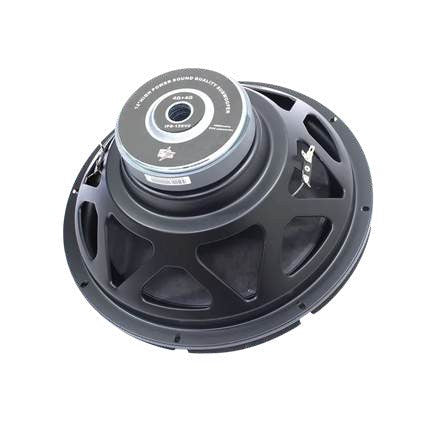 ICE Power IPS-12SVC 12" SVC subwoofer