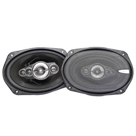 ICE Power IPS-699 6x9" 5-way speaker (pair)